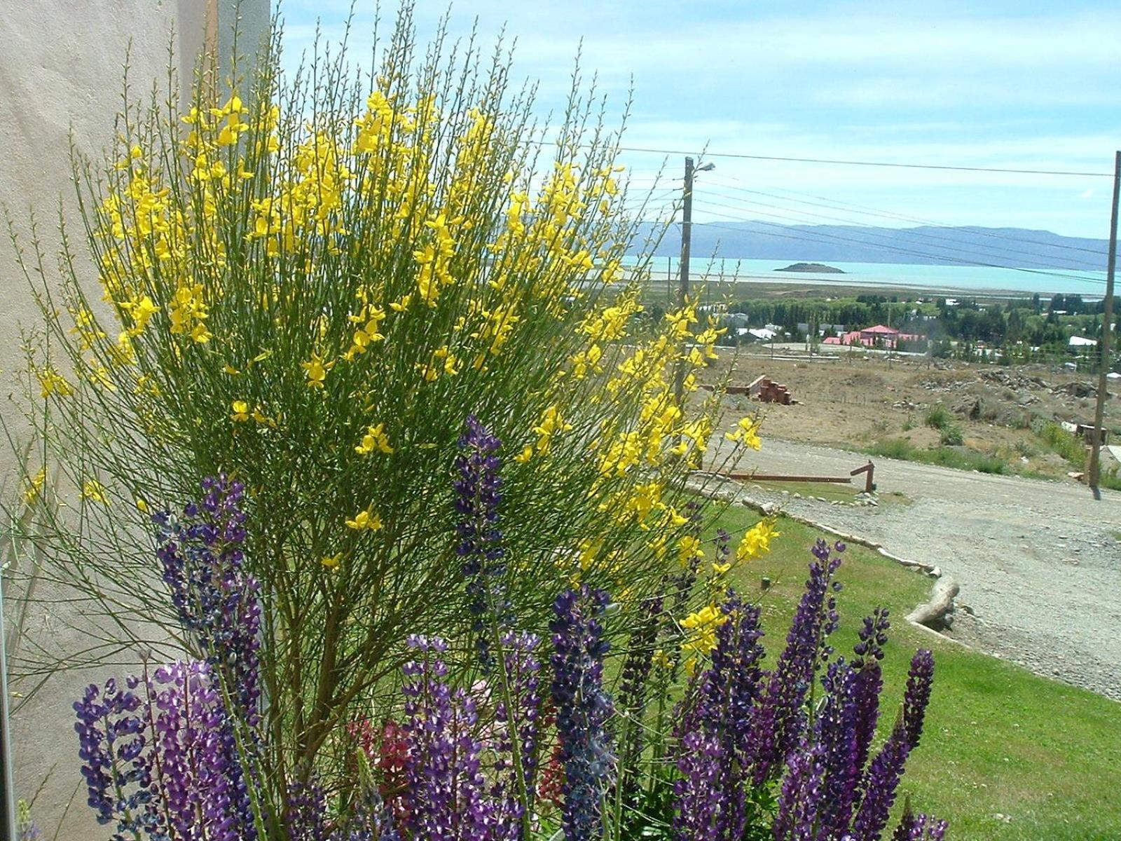 Kelta Hotel El Calafate Exterior foto